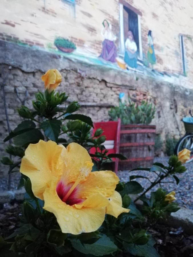 Bed and Breakfast Centu Concas Muravera Exterior foto